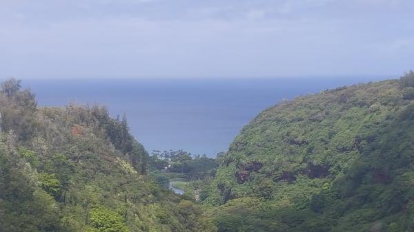 Top of the Waimea Valley.  "A squirels jump from Heaven."