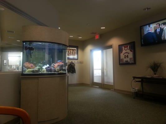 Cool saltwater aquarium in the waiting area.