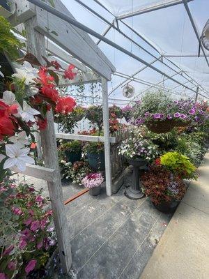 The best arranged hanging baskets