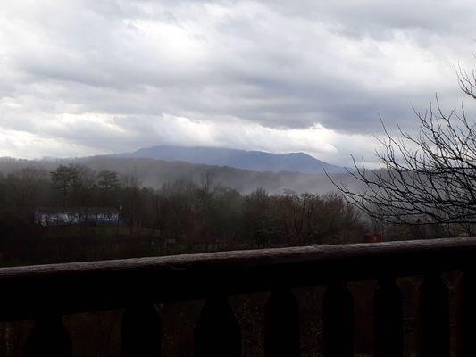 View from bear paws cabin