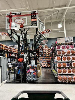 Basketball Section