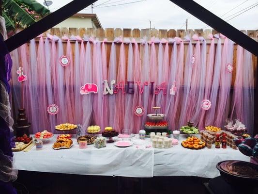 Baby shower Dessert table. Chocolate fountain with fruit, tamarind chili covered apples, cake pops and many more!