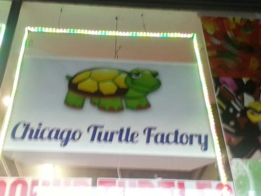 Turtle Factory