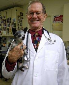 Dr. Visser loves Chihuhuas