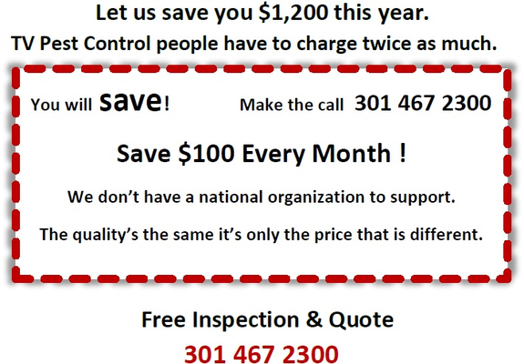 We are an affordable Pest Control Company in the Silver Spring area.  We are local and use eco friendly pest control.