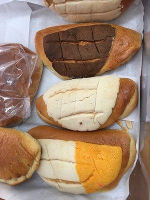 Pan dulce /sweet bread