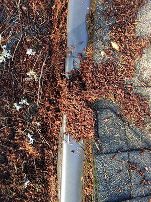 Bottom of a valley, clogged by evergreen debris. Up on the roof I go! Thanks Leafguard, you bunch of liars.