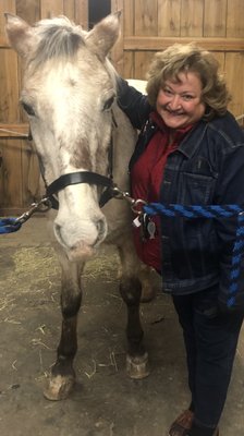 Equine encounters...human/horse power!