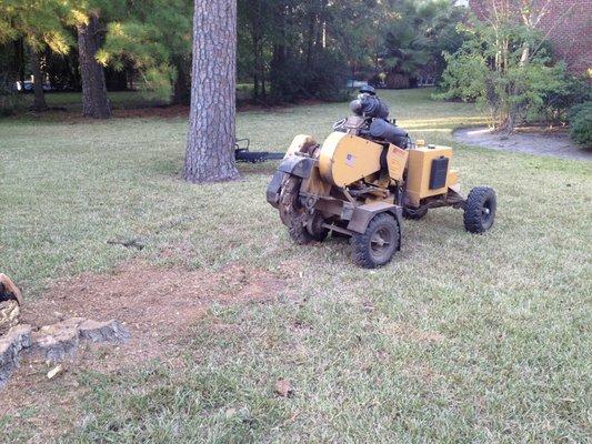 Stump Grinder