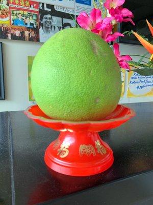 Pomelo, or locally known as jabong