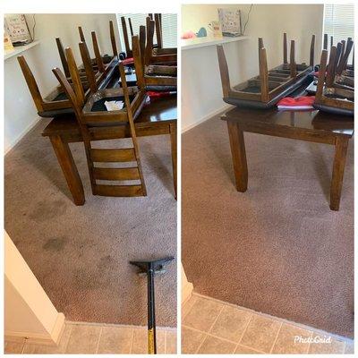 Carpet Cleaning