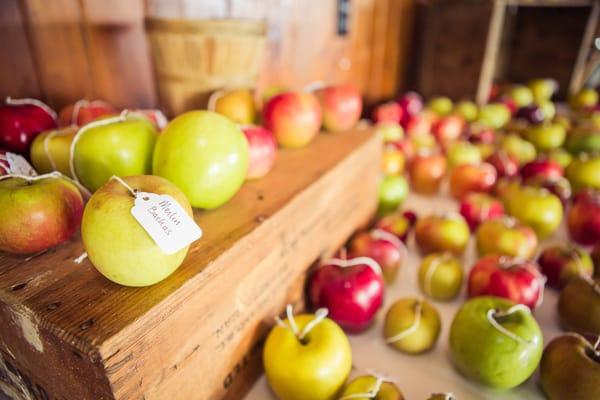 Apple-themed place cards for a summer camp wedding in Craftsbury