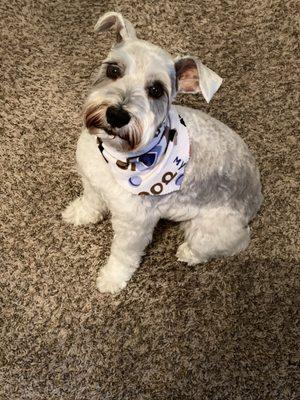 King posing after his groom appointment