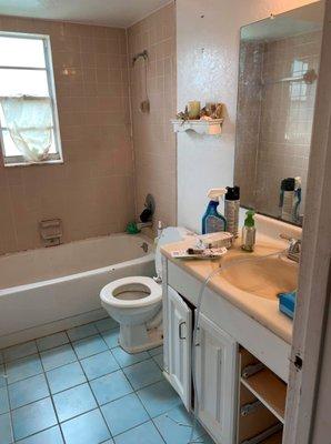 Bathroom Remodeling - Before