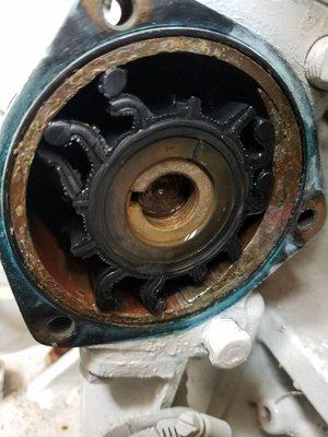 Change Impellers Every Year