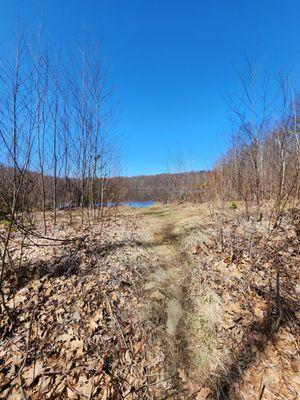 Approaching the lake