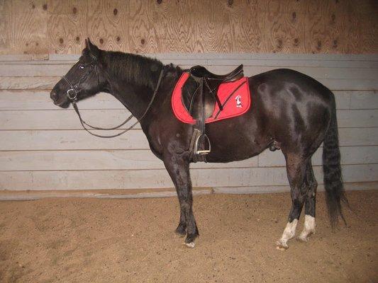 Indoor arena