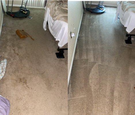 carpet cleaning houston