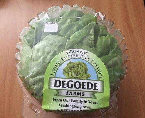 Organic Living Butter Bibb Lettuce