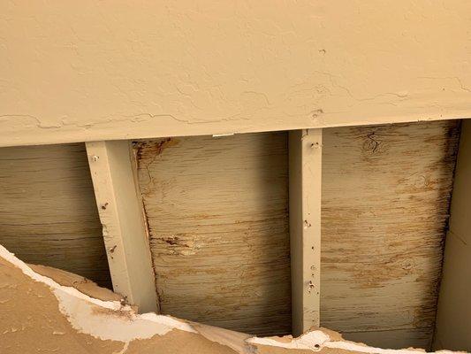 Ceiling collapsed from water damage. Mold in the paneling as well. Water falls through during rain.