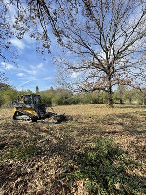 Clearing up land before deer season