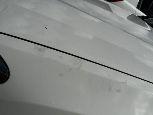 Oil stains are included free of charge after the wash.