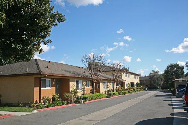 1 story and townhome style units