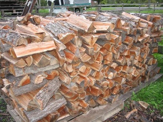 Wild Cherry Firewood