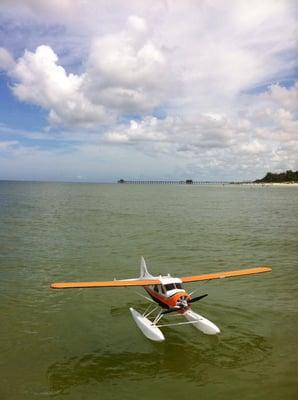 Flyzone Beaver on Naples Beach