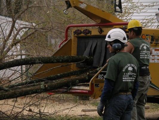 Natural Green Tree Service