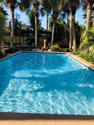 Sun, palms, and piña colada's make a perfect retreat. Clean pool helps too.