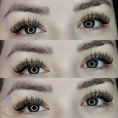 Classi Set of Eyelashes