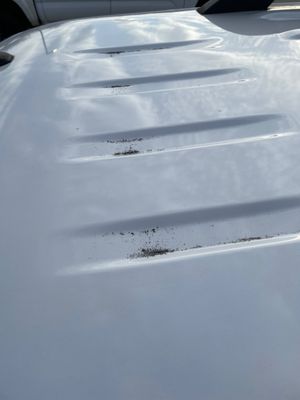 Dirt on front of roof.