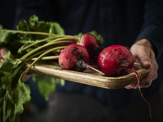 Knapp Ranch grown produce. Grown at 9,000 feet on The Farm at Knapp Ranch.