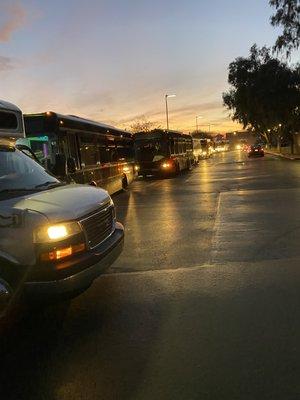 The entire fleet in line up