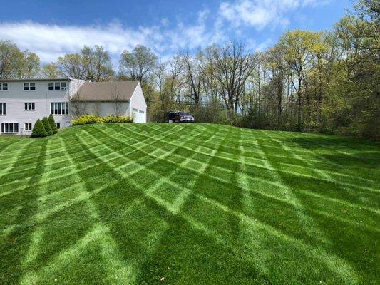 Residential lawn