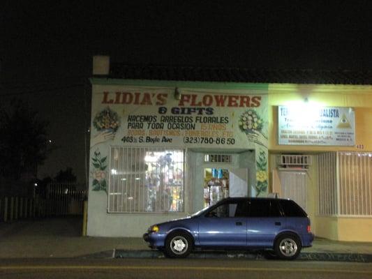 Lidia's Flower Garden