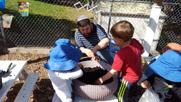 Spring planting