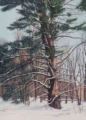 "Sentry at Century Farm"