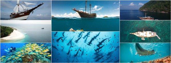 Liveaboard experience in Indonesia