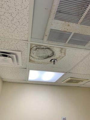 One of the many roof leaks inside the room