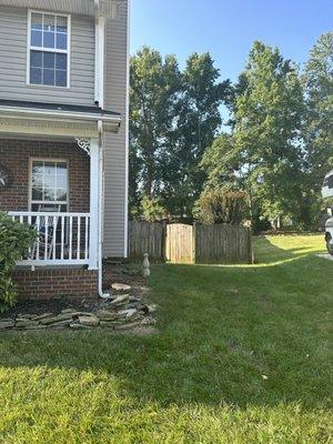 What it looked like when they were done removing the weeping cherry