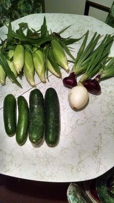 All this organic food for $5! Those cukes are huge.