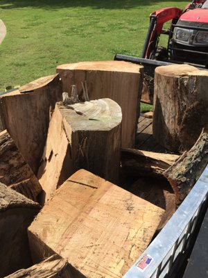 Storm Damaged Tree Trunk Removed.