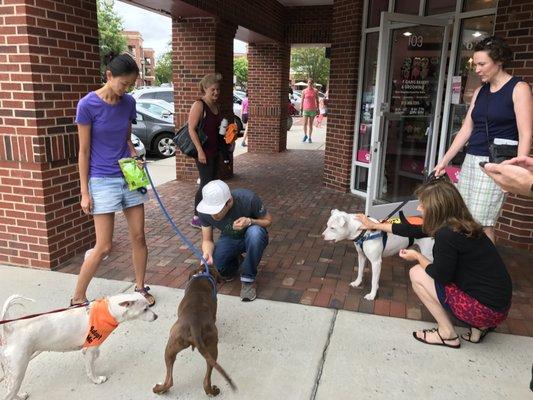 Independent Animal Rescue sponsored a dog adoption event in Chapel Hill and we are contributing with each home sale.