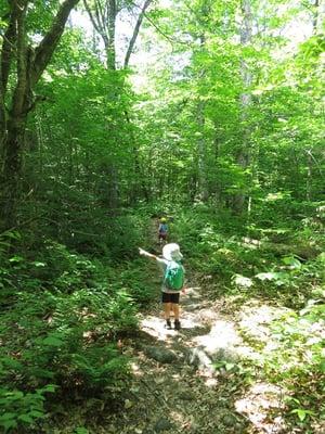 Kids having fun on the trail