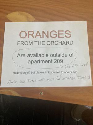 Again,   My W.Stalker harvested a whole orange tree THAT SHE DOES   NOT  OWN and kept them in front of her door.  !!!!!!?????