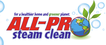 All-Pro Steam Clean