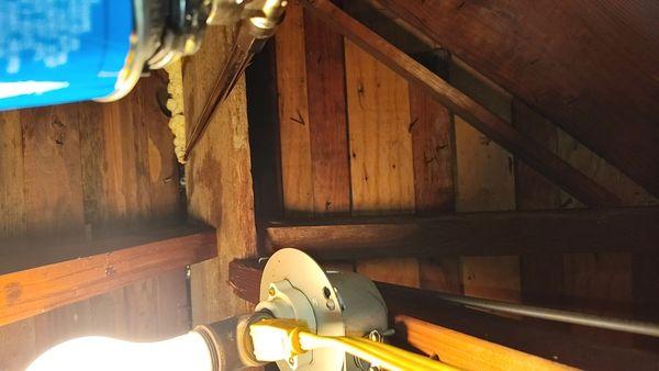 Attic seal for rodent and wildlife exclusion