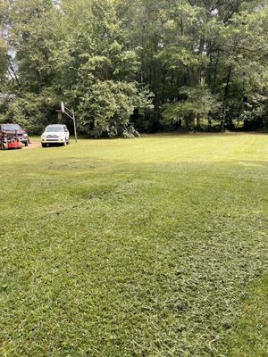 Grass cut